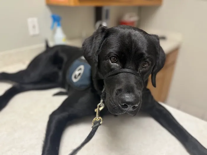 SAHO Skiatook Animal Hospital Picture 1