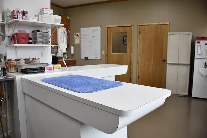 SAHO Skiatook Animal Hospital Picture 8