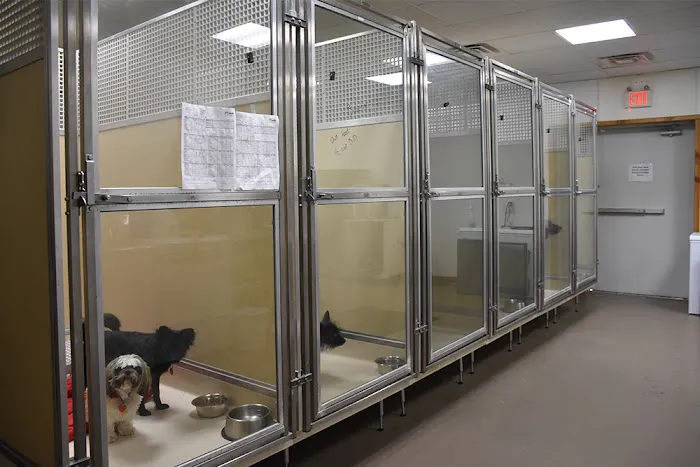 SAHO Skiatook Animal Hospital Picture 7