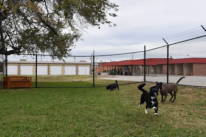 SAHO Skiatook Animal Hospital Picture 5