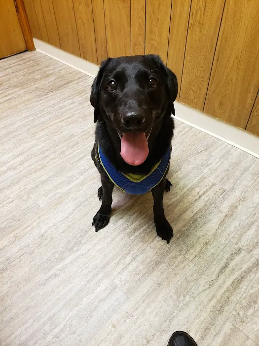 Sheridan Road Veterinary Clinic Picture 3