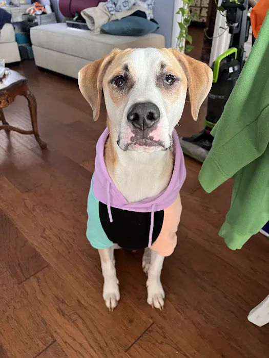 Sheridan Road Veterinary Clinic Picture 4