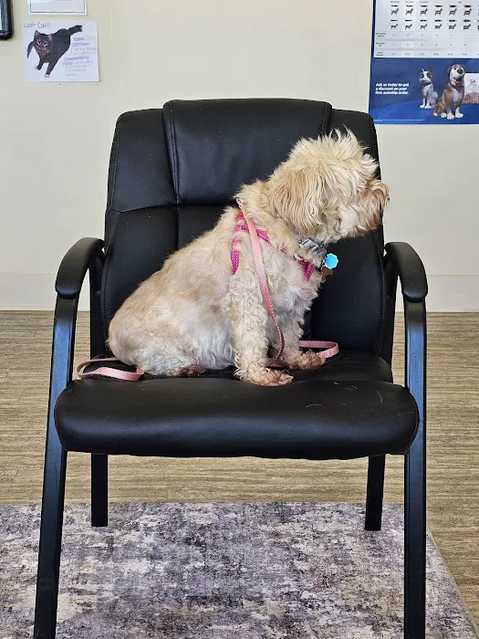 Sheridan Road Veterinary Clinic Picture 6