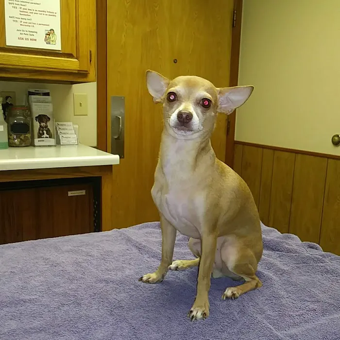 Sheridan Road Veterinary Clinic Picture 10