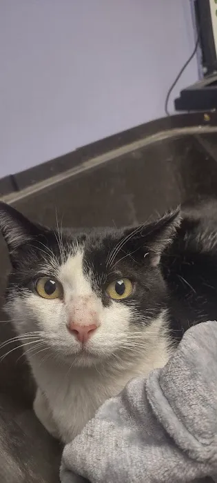 Sheridan Road Veterinary Clinic Picture 8