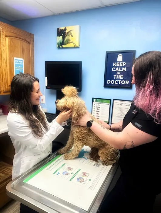 Sheridan Road Veterinary Clinic Picture 9