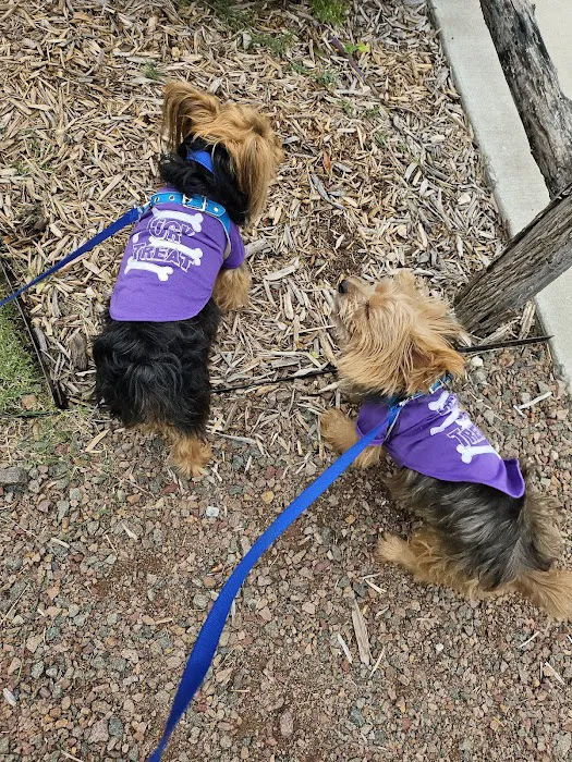 Tulsa Veterinary Specialists Picture 1