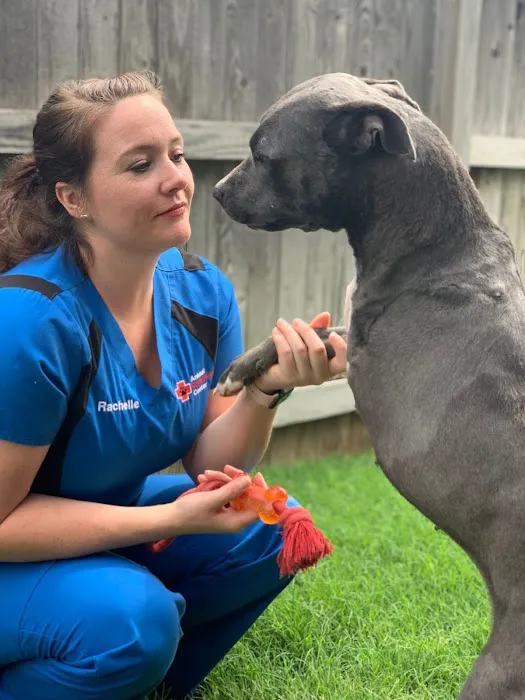 Animal Emergency Center of Tulsa Picture 8