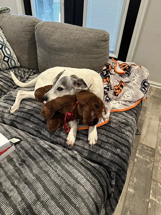 APC Veterinary Picture 1