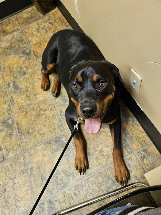 APC Veterinary Picture 5