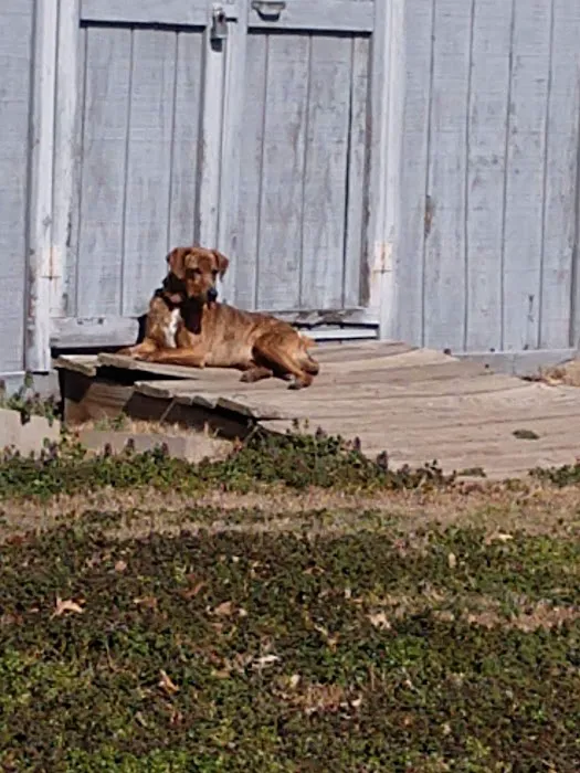 Oneta Animal Care Picture 1