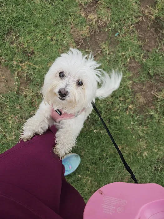 Oneta Animal Care Picture 4