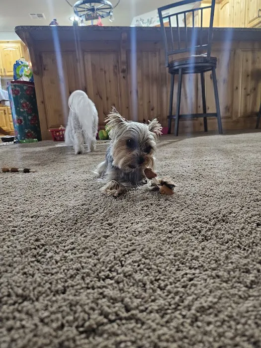 Oneta Animal Care Picture 3