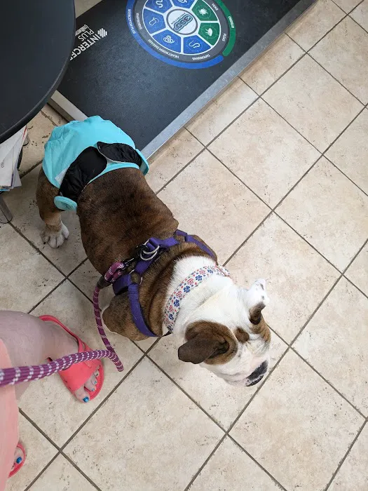 Oneta Animal Care Picture 2