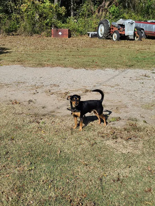 Oneta Animal Care Picture 5