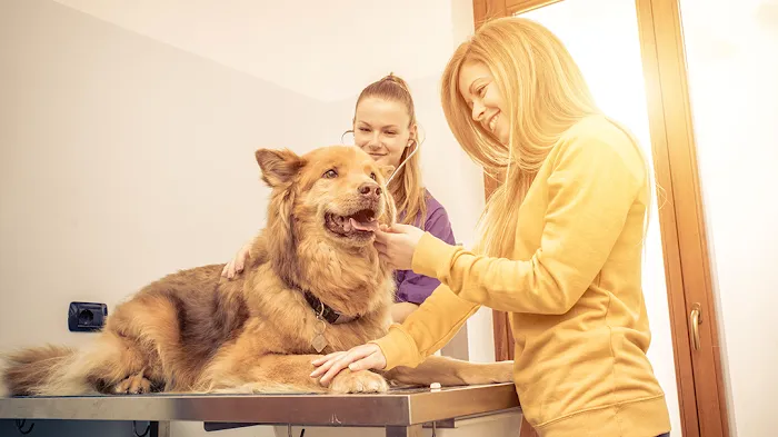 Oneta Animal Care Picture 6