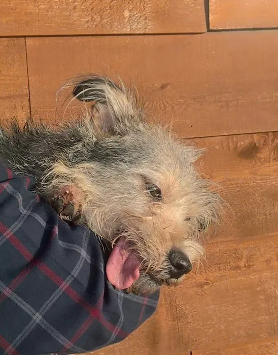 Oneta Animal Care Picture 9