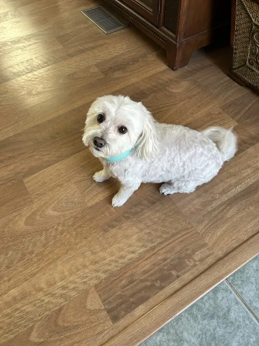 Oneta Animal Care Picture 7