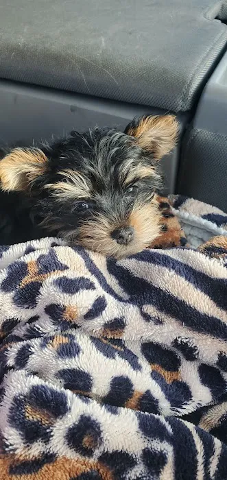 Oneta Animal Care Picture 8