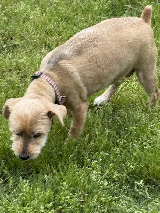 Oneta Animal Care Picture 10