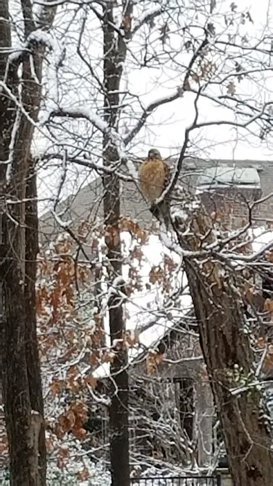 Nail N a DVM Picture 10