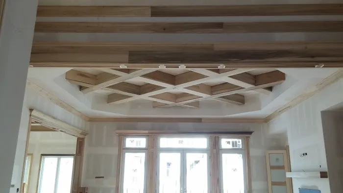 Nail N a DVM Picture 5