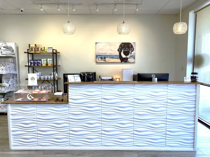 Premier Animal Wellness and Surgery Picture 4