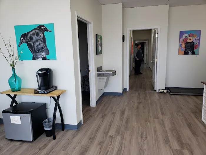 Premier Animal Wellness and Surgery Picture 5