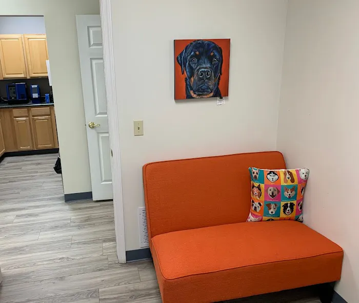 Premier Animal Wellness and Surgery Picture 8