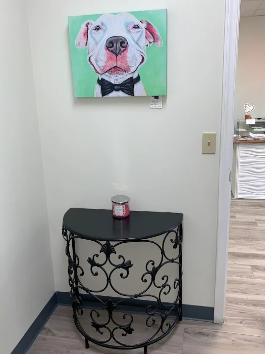 Premier Animal Wellness and Surgery Picture 9