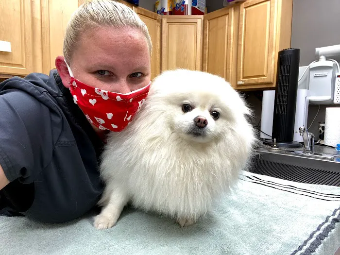 Premier Animal Wellness and Surgery Picture 10