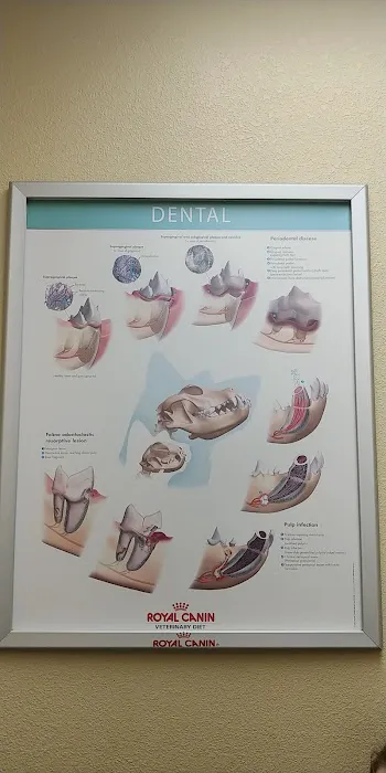 Indian Springs Veterinary Hospital Picture 1