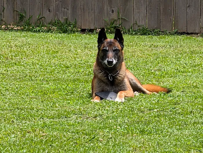 Broken Arrow Veterinary Hospital Picture 1