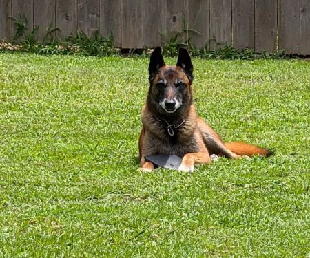 Broken Arrow Veterinary Hospital