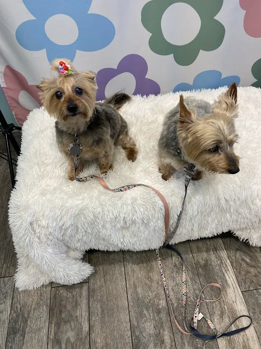 Broken Arrow Veterinary Hospital Picture 7