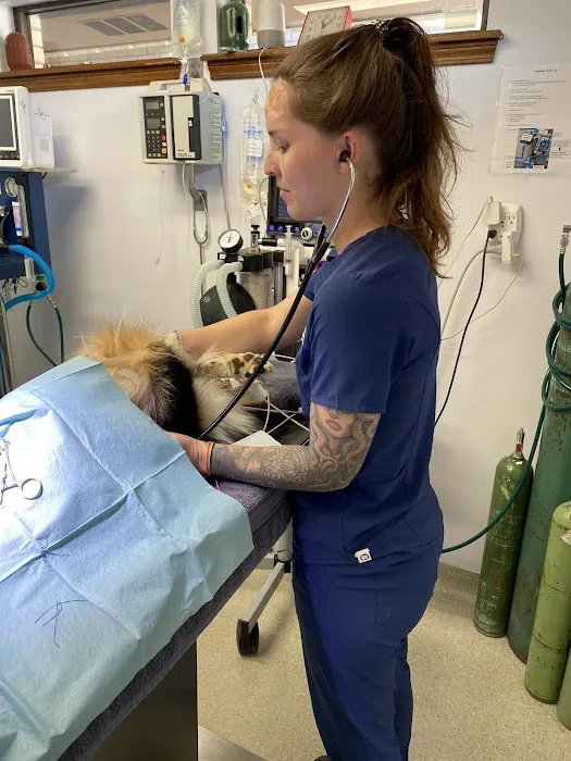 Broken Arrow Veterinary Hospital Picture 9