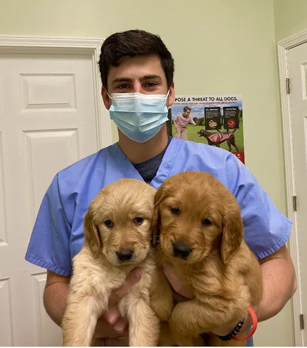 Avalon Veterinary Hospital Picture 1