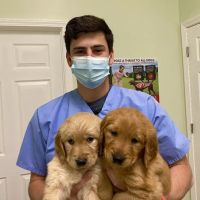 Avalon Veterinary Hospital ico