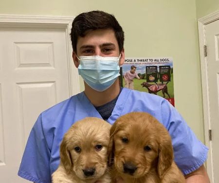 Avalon Veterinary Hospital