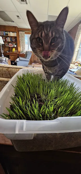 Avalon Veterinary Hospital Picture 6