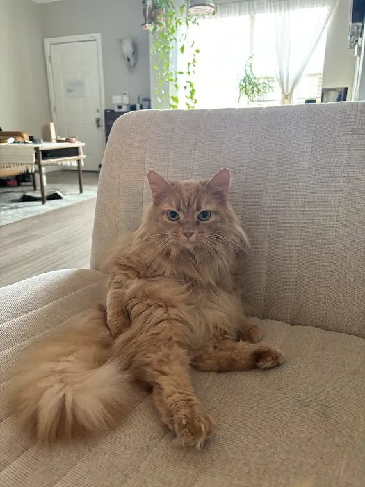 Avalon Veterinary Hospital Picture 4