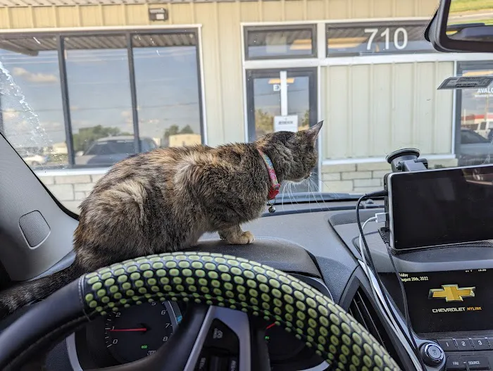 Avalon Veterinary Hospital Picture 5