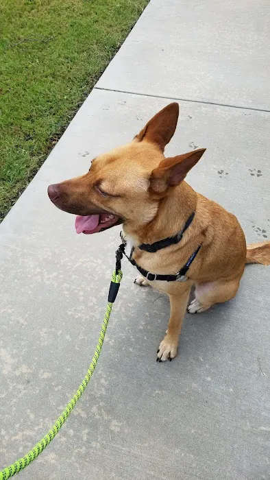 Avalon Veterinary Hospital Picture 9