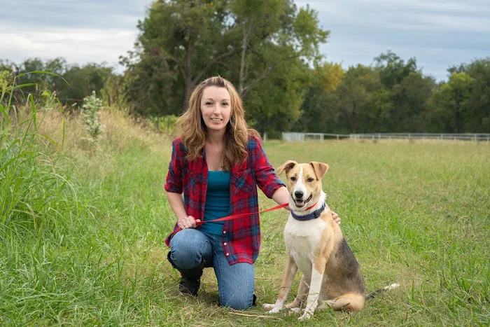 Alta Vista Animal Hospital & Pet Lodge Picture 3