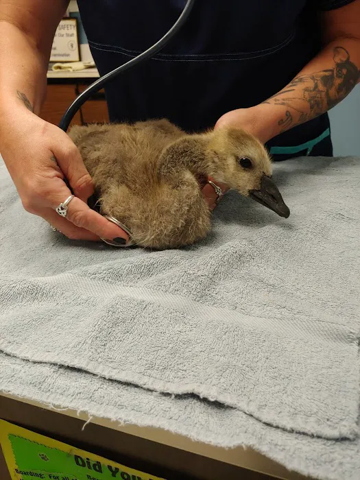 Best Friends Veterinary Hospital Picture 1