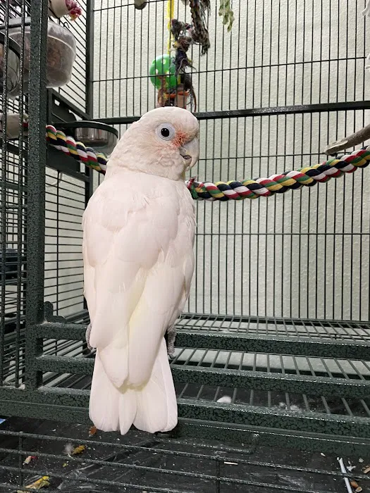 Best Friends Veterinary Hospital Picture 4