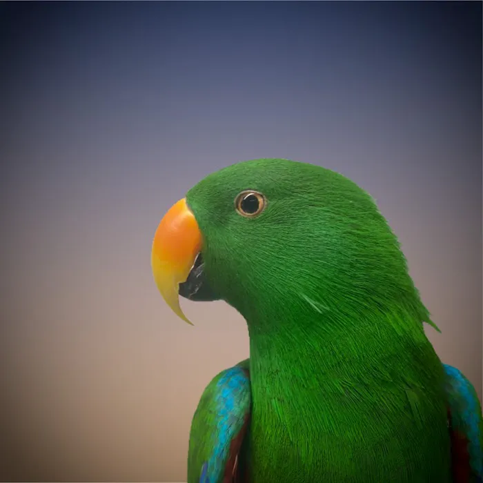 Best Friends Veterinary Hospital Picture 6