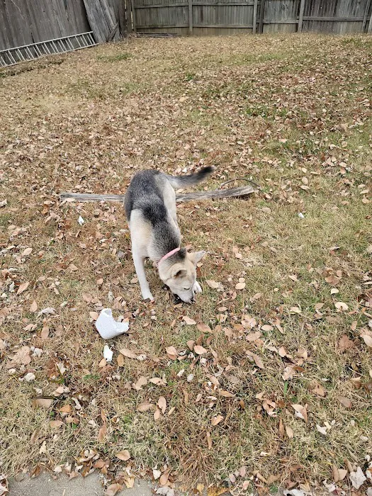 Best Friends Veterinary Hospital Picture 9