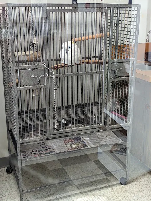 Best Friends Veterinary Hospital Picture 7