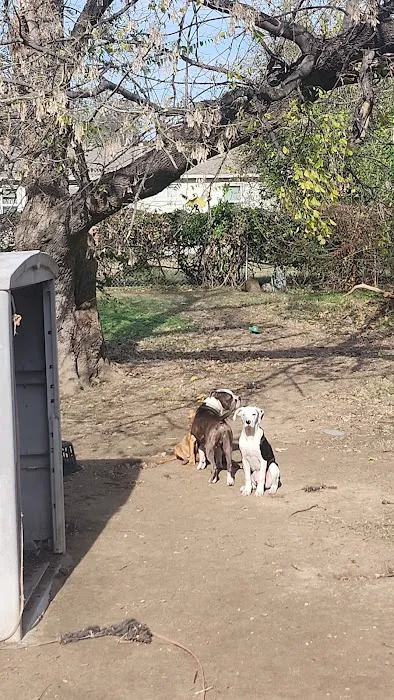 Heritage Veterinary Hospital Picture 3